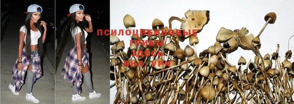 таблы Беломорск